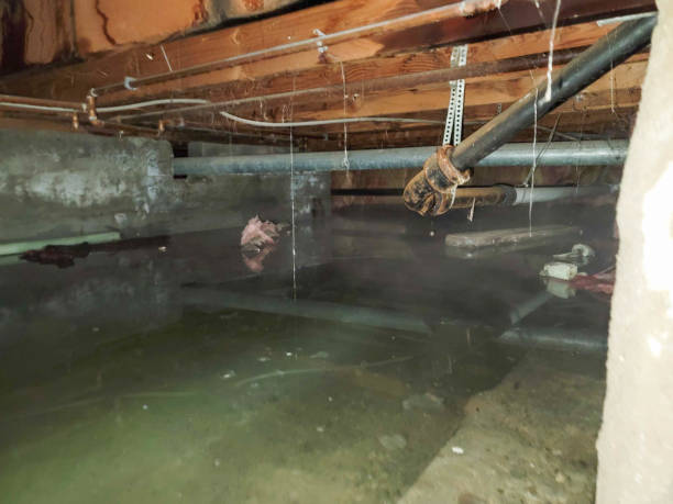 Trusted NJ Water damage restoration Experts
