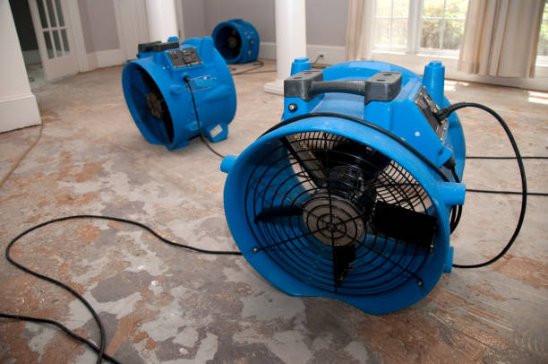 Best Water damage restoration near me  in Preakness, NJ