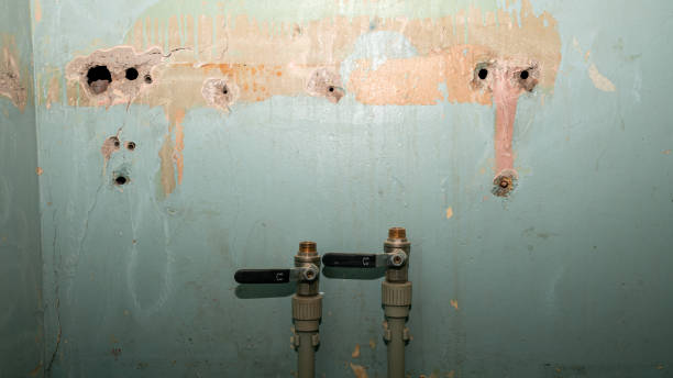 Best Flood restoration services  in Preakness, NJ