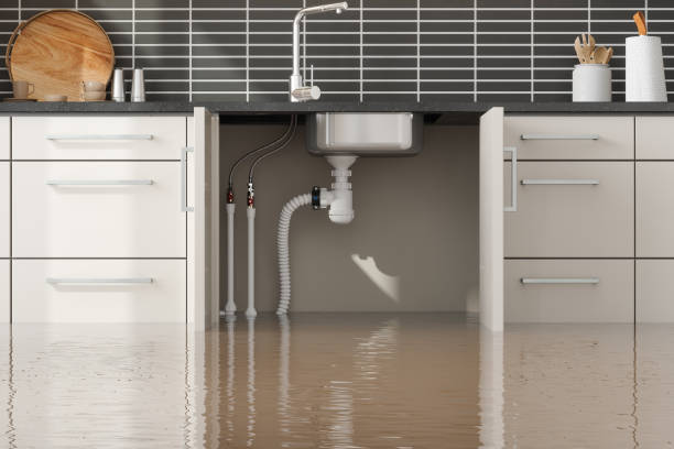 Best Flood damage cleanup  in Preakness, NJ