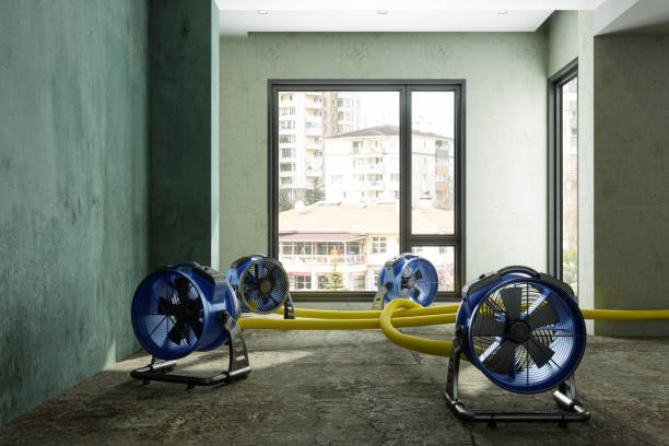 Best Mold removal after water damage  in Preakness, NJ